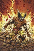 RETURN OF WOLVERINE #1-RI-F 