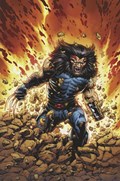 RETURN OF WOLVERINE #1-RI-K 