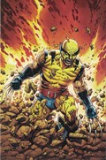 RETURN OF WOLVERINE #1-RI-M 