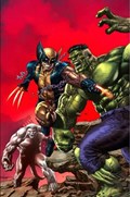 RETURN OF WOLVERINE #1-UNKN-E 