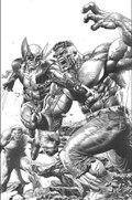 RETURN OF WOLVERINE #1-UNKN-D 