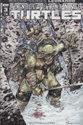 TEENAGE MUTANT NINJA TURTLES: MACRO-SERIES #3 