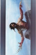 HUNT FOR WOLVERINE #1-SCOTT-B 
