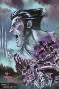 HUNT FOR WOLVERINE #1B 