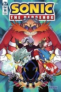 SONIC THE HEDGEHOG #14 