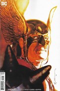 HAWKMAN #8B 