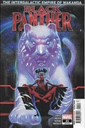 BLACK PANTHER #11 