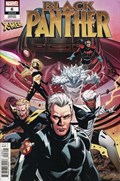 BLACK PANTHER #6B 