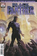 BLACK PANTHER #12 