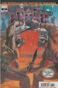 BLACK PANTHER #13 