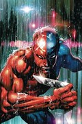 PROJECT SUPERPOWERS: CHAPTER THREE #4-RI-D 