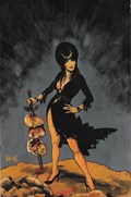 ELVIRA: MISTRESS OF THE DARK #4-RI-D 