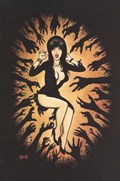 ELVIRA: MISTRESS OF THE DARK #2-RI-C 