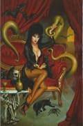 ELVIRA: MISTRESS OF THE DARK #8-RI-E 