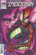 THE AMAZING SPIDER-MAN #80 