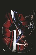 THE AMAZING SPIDER-MAN #76-ILLUM-B 