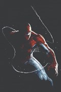 THE AMAZING SPIDER-MAN #2-CMXP-B 