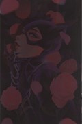 CATWOMAN #53-RI-B 