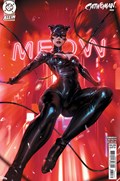 CATWOMAN #80C 