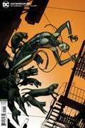 CATWOMAN #22B 