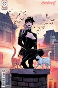 CATWOMAN #84C 