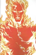 FANTASTIC FOUR #24B 