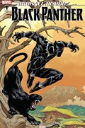 MARVEL ACTION: BLACK PANTHER #1-RI-D 