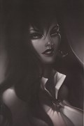 VAMPIRELLA #14-RI-D 