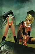 VAMPIRELLA #14-RI-L 