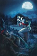 VAMPIRELLA #14J 