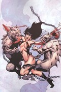 VAMPIRELLA #15-RI-B 