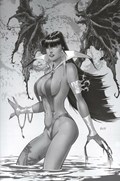 VAMPIRELLA #19-RI-D 