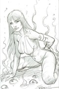 VAMPIRELLA #17-RI-L 