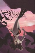 VAMPIRELLA #18-RI-C 
