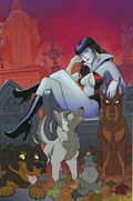 VAMPIRELLA #25-RI-Q 