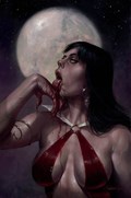 VAMPIRELLA #21K 