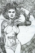 VAMPIRELLA #8-RI-D 