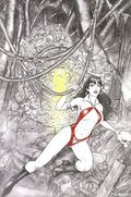 VAMPIRELLA VS. REANIMATOR #1-RI-D 