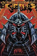 TEENAGE MUTANT NINJA TURTLES: SHREDDER IN HELL #4B 