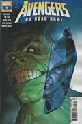 AVENGERS: NO ROAD HOME #5 