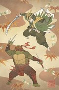 MIGHTY MORPHIN POWER RANGERS/TEENAGE MUTANT NINJA TURTLES #1-JOLZ-B 