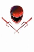 MIGHTY MORPHIN POWER RANGERS/TEENAGE MUTANT NINJA TURTLES #1-NYCC-C 