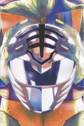 MIGHTY MORPHIN POWER RANGERS/TEENAGE MUTANT NINJA TURTLES #2-RA 