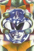 MIGHTY MORPHIN POWER RANGERS/TEENAGE MUTANT NINJA TURTLES #3C 