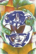MIGHTY MORPHIN POWER RANGERS/TEENAGE MUTANT NINJA TURTLES #3D 