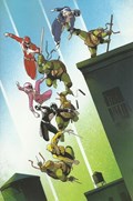 MIGHTY MORPHIN POWER RANGERS/TEENAGE MUTANT NINJA TURTLES #3-FOC-F 