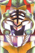 MIGHTY MORPHIN POWER RANGERS/TEENAGE MUTANT NINJA TURTLES #3-RA 