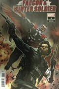 FALCON & WINTER SOLDIER #1-RI-B 