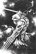TMNT: JENNIKA #2-FRANK-B 