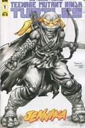 TMNT: JENNIKA #1-RI-B 